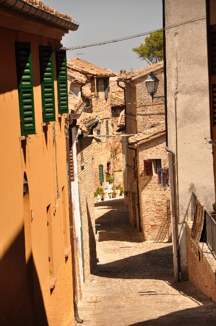 min 2009 08 18 ostra 118